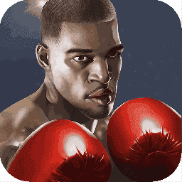 Punch Boxing 3D