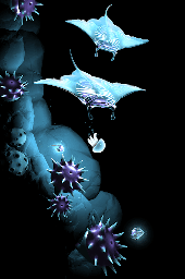 Seashine screenshot