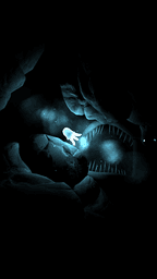 Seashine screenshot
