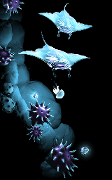 Seashine screenshot