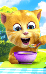 Talking Ginger 2 screenshot