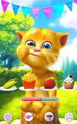 Talking Ginger 2 screenshot