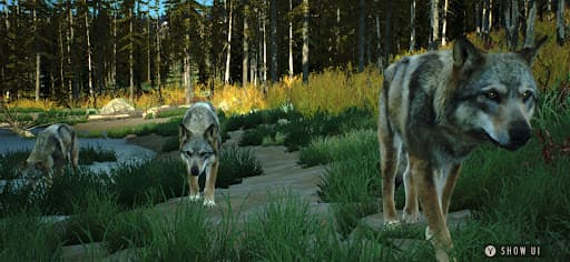 Way of the Hunter Wild America screenshot