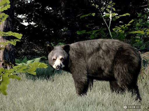 Way of the Hunter Wild America screenshot