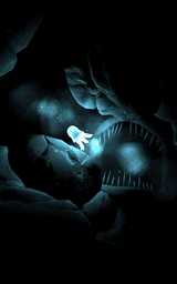 Seashine screenshot